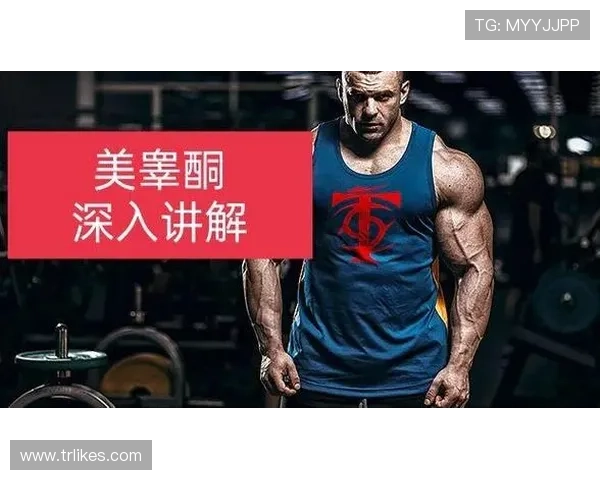 深入解析篮球球队犯规累计规则与相关判罚